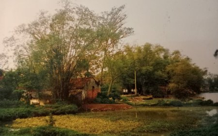 Khai thác tối ưu tài nguyên Đất - Nước để phát triển Đô thị, Nông thôn trong Quy hoạch Thủ đô