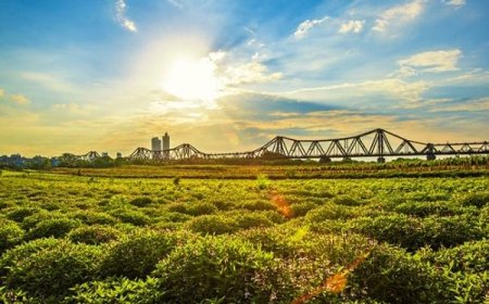 Làm rõ đề bài dự thi “Ý tưởng quy hoạch công viên bãi nổi Sông Hồng“